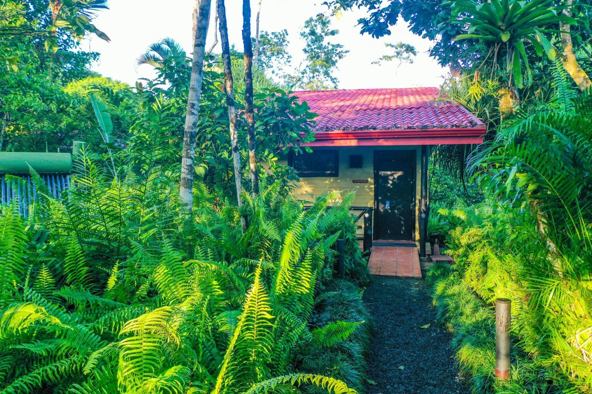 Maquenque Ecolodge Boca Tapada Номер фото