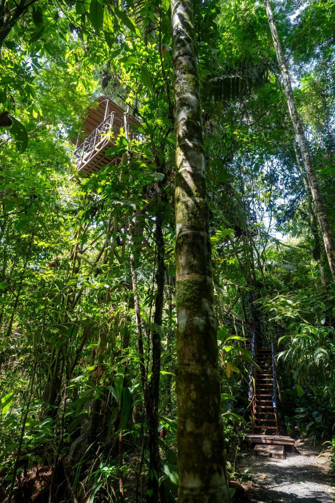 Maquenque Ecolodge Boca Tapada Экстерьер фото